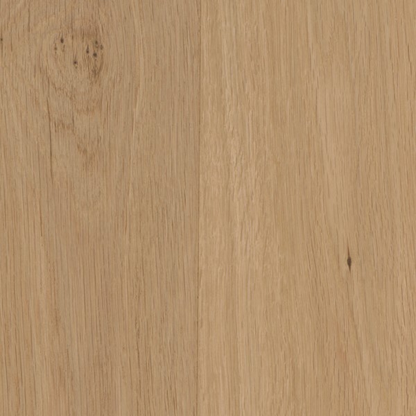 Échantillon de couleur bois massif chêne naturel